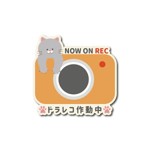 L O[ hR 쓮 J[}OlbgXebJ[ ^撆 lR hCuR[_[ 킢  VAu[ OєL L L n` ^] ^] h~ h O RE