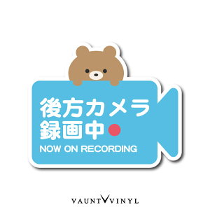 J^撆 Now on recording V[ N} efBxA hƃV[ hƃXebJ[ ZLeBXebJ[ ZLeBV[ _~[  V[ fJ[ hCuR[_[ hR 