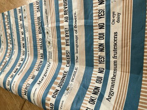 New pb`[Nn108cm v2m܂ōň250~ s Œ20cm10cmP 摜̃TCY͖15cm×21cm ʔŃJbgNX̔Ă܂