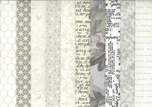 ēcZNgvgpb`[Nz10Zbginj Akemi Shibata@n@Lg@nhCh@yPiň250 z