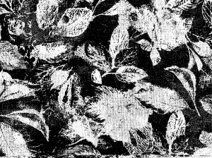 pb`[Nn(108cm) yv2m܂ōň250~ szŒ20cm10cmPʁ@(摜̃TCY͖15cm×21cm)@ʔ30cm×34cm̃JbgNX̔Ă܂