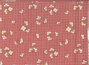 pb`[Nn(108cm) yv2m܂ōň250~ szŒ20cm10cmPʁ@(摜̃TCY͖15cm×21cm)@ʔ30cm×34cm̃JbgNX̔Ă܂B