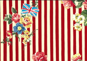 pb`[Nn108cm v2m܂ōň250~ s Œ20cm10cmP 摜̃TCY͖15cm×21cm ʔ30cm×34cm̃JbgNX̔Ă܂