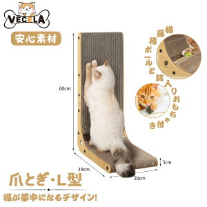 y10%OFFN[|zz&P10{zy[zL ܌ L^ i{[ 60cm JXoȂ Sf XgX LȂ  ߂Ƃ g[t XgX 60cm ˂ lR S