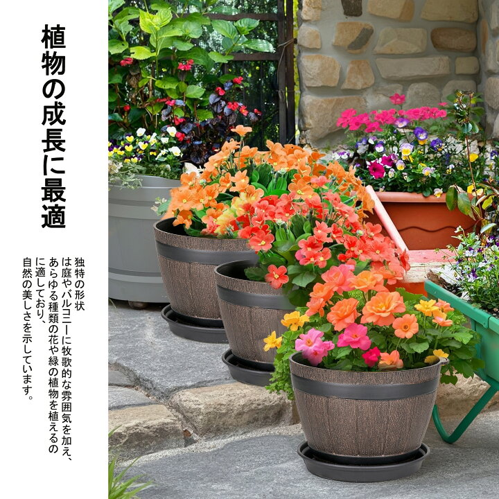 楽天市場】【全商品100円オフクーポン】即納 植木鉢 鉢 鉢植え 3/6/9点 