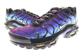 【中古】ナイキ NIKE AIR MAX PLUS 25TH ANNIVERSARY エアマックス プラス 25周年 アニバーサリー スニーカー FV0393-001 28 マルチカラー ブランド古着ベクトル 中古 ▲■ 240201 メンズ