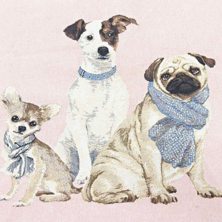楽天市場】【中古】イオシス IOSIS クッションカバー 犬 パグ チワワ 
