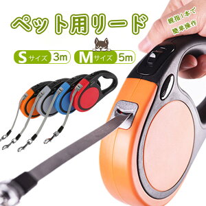 ybgp[h  Lk  L [h p[h ^ ^ ^ Lk[h 莮 U US΍ ybg S p Lp  ybgpi  킢 