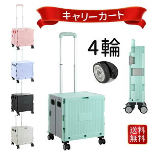 L[J[g ܂肽 Ki S  VbsOJ[g  e40L AEghA e ω׏d50kg LX^[t t^t