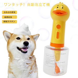 ybgp \[vfBXyT[ A  L Vv[ AĊ d  Aq É q C ObY  Type-C [d \[vfBXyT[ ybg C  L 킢 