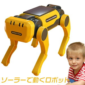 žœI\[[d{bg  qǂ gݗ ߋ j̎q m烍{bg \[[ {bg dd \[