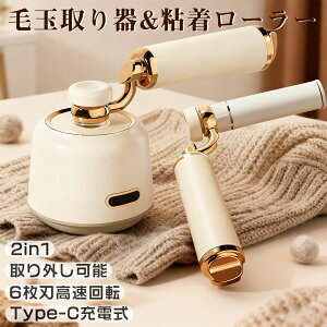 ыʎ y2025NAbvO[hŁz܂Ƃ 2in1 d ыʎ SN[i[ ыʃN[i[ ыʃJb^[ Su Type-C[d 󕨌CߗސQJ[ybg pt