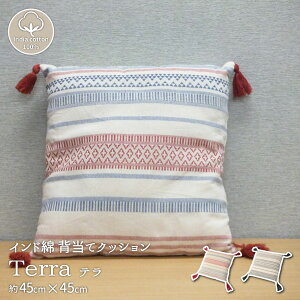 �C���h�Ȕw���ăN�b�V���� �e�� 45×45cm