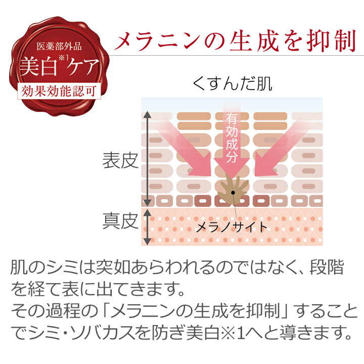 楽天市場】＼お買い物マラソン限定 ポイント10倍／PE ザ ホワイト  