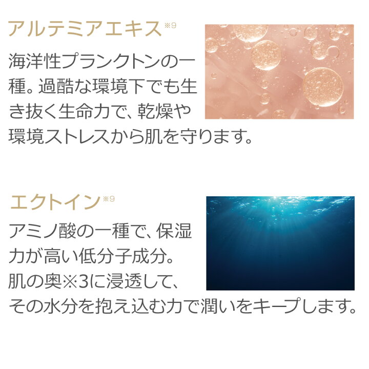 楽天市場】＼お買い物マラソン限定 ポイント10倍／PE ザ ホワイト  