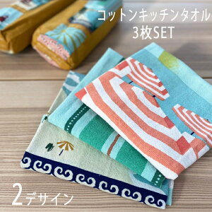Lb`^I 唻 Mtg ӂ k 킢 z Lb`NX Lb`G VEGATEX 50×70cm@Rbg eB[^I ̓ ][g v[g