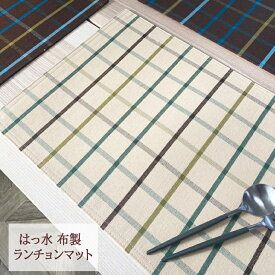 ランチョンマット 撥水 北欧 チェック リバーシブル VEGATEX ケンズラティス 33×47cm ディスプレイマット★