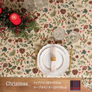 y24ԌISi|Cg10{zy12/5()23F59}fzNX}Xe[uNX SuD gbvNX z[p[eB e[uZ^[ 40×100cm 85×85cm