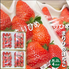 和歌山県産 まりひめ いちご M〜2L 4パック（250g×4パック）和歌山 紀の川市 ブランド 苺 イチゴ 送料無料 贈答 産地