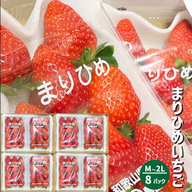 和歌山県産 まりひめ いちご M〜2L 8パック（250g×8パック）和歌山 紀の川市 ブランド 苺 イチゴ 送料無料 贈答 産地