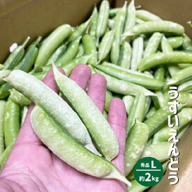 和歌山県産 うすいえんどう 約2kg 秀品 Lサイズ 和歌山 特産 うすい豆 ウスイエンドウ 豆ごはん
