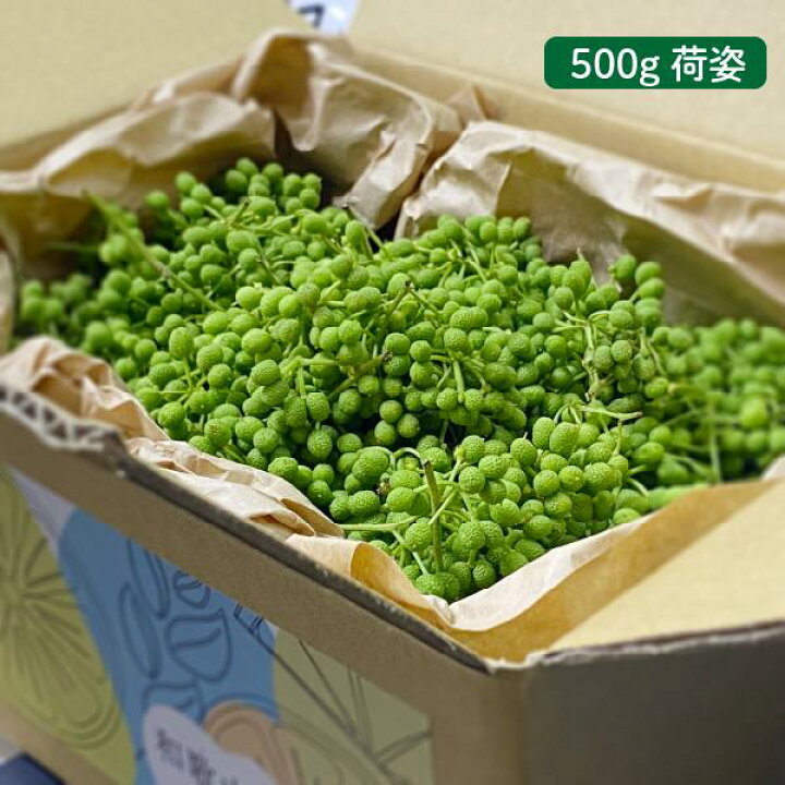 楽天市場】和歌山県産 ぶどう山椒 秀品500g 生山椒 実山椒 有田産 国産 