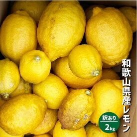 和歌山県産 減農薬 レモン 黄色 約2kg 国産レモン 防腐剤・ワックス不使用 訳あり 紀の川市 数量限定