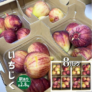  󂠂 2.8kg(350g×8pbN) a̎RY  ߂ C`WN ԉ I̐s