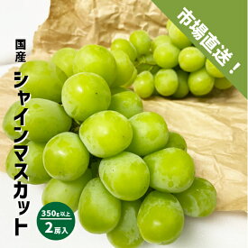 シャインマスカット 2房（約350g以上×2房） 種無しぶどう シャイン 山梨県 長野県 和歌山県 国産