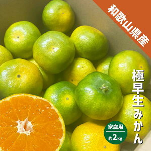 ݂ ɑ a̎RY 2kg S`LTCY ƒp I Lc ~J ɑ݂ 