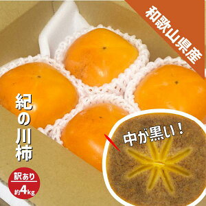 I̐` 󂠂 4kg (15`18) a̎RY ˂Ȃ 햳 j` `  ` JL  Mtg