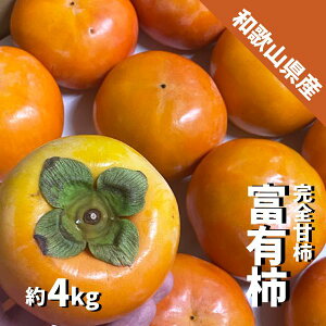 xL` 4kg (15`20) a̎R SÊ` xR 炬 Ê` ӂ` 