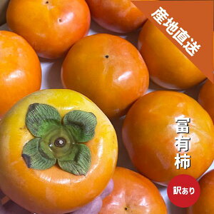 xL` 󂠂 1kg`4kg a̎R SÊ` xR 炬 Ê` ӂ` 