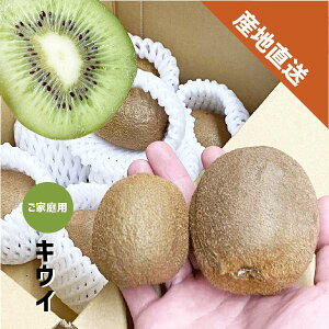 LEC ƒp 500g`1kg a̎RY wC[h I̐s  LEB