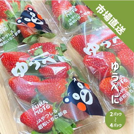いちご ゆうべに 2〜4パック 熊本県産 イチゴ ケーキ ジャム 自宅用