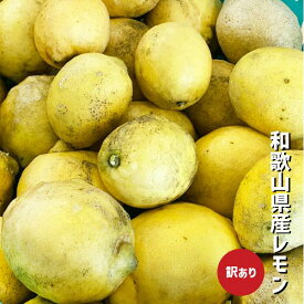 レモン 訳あり 約1〜10kg 和歌山県産 国産レモン 防腐剤・ワックス不使用