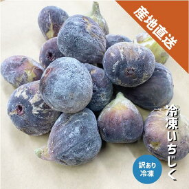 冷凍いちじく 約1〜5kg 和歌山県産 2025年産 ジャム コンポート 訳あり 加工用 いちじく 冷凍