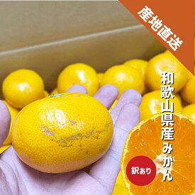 みかん 訳あり 約1〜10kg S〜Lサイズ 和歌山県産 有田 紀の川市 ミカン ご家庭用