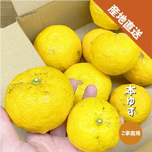 䂸 󂠂 1`5kg a̎RY {䂸 Mq ~ ƒp