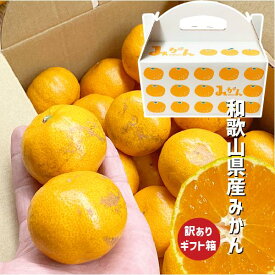 みかん ギフト箱 訳あり 1〜4箱 S〜Lサイズ 和歌山県産 有田 紀の川市 ミカン ご家庭用