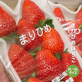 まりひめいちご 3L〜5L 1〜6パック（1パック約300g） いちご 和歌山 紀の川市 ブランド 苺 イチゴ 送料無料 贈答 産地