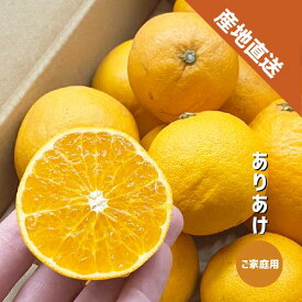 ありあけ 1〜5kg 和歌山県産 ご家庭用 みかん 訳あり