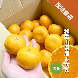 みかん 秀品 約1〜10kg S〜Lサイズ 和歌山県産 有田 紀の川市 ミカン ギフト