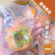 富有柿 1kg〜4kg 冷蔵富有柿 和歌山 完全甘柿 九度山町 かつらぎ町 甘柿 ふゆ柿 送料込み