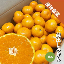 蔵出しみかん 秀品 1kg〜10kg みかん 和歌山県産 贈答 ギフト