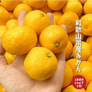 ݂  󂠂 1kg`5kg 2STCYȉ a̎RY Lc I̐s ʌ ~J ƒp