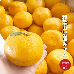 �݂��� ��� �󂠂� ��1kg�`5kg 2L�T�C�Y�ȏ� �a�̎R���Y �L�c �I�̐�s ���ʌ��� �~�J�� ���ƒ�p