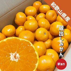 蔵出しみかん 訳あり 1kg〜10kg みかん 和歌山県産 贈答 ギフト