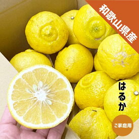 はるか 1〜5kg 和歌山県産 ご家庭用 ハルカ 訳あり