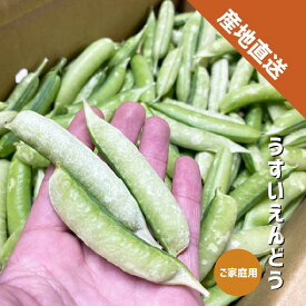 うすいえんどう 約500g〜2kg 秀品 M〜Lサイズ 和歌山県産 特産 うすい豆 ウスイエンドウ 豆ごはん